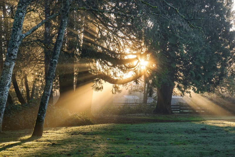 Elhalványult vonalkód okozta Sunlight.jpg